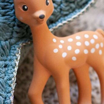 Drenusha Fan Fan – Shoqja e ngushtë e Sophie la Girafe