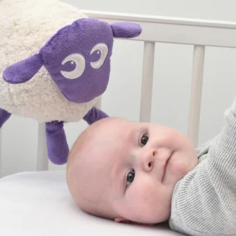 Ewan The Dream Sheep Classic – Purple
